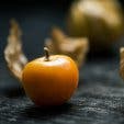 Physalis