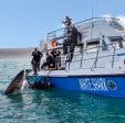 WSDC Boat