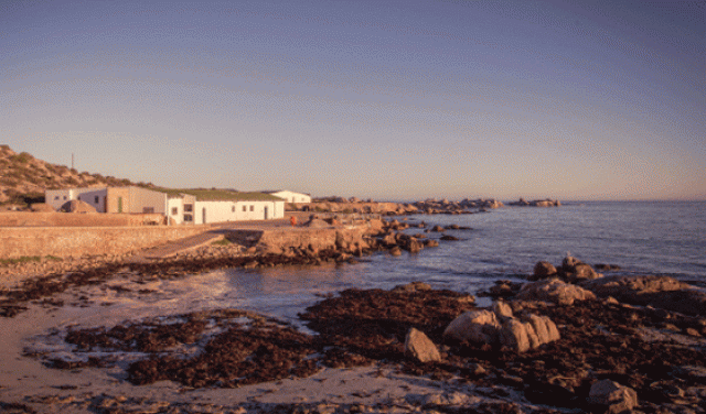 'All The Crayfish, Mussels And Oysters You Can Eat At The Paternoster Crayfish Festival - 2025'