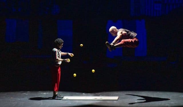 'What’s on at Zip Zap Circus - 2025'