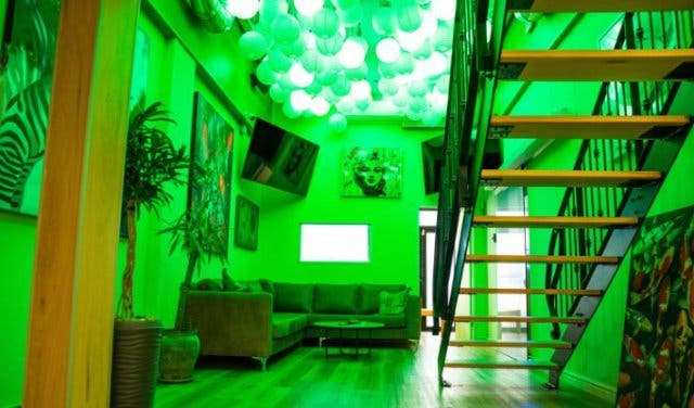 'Cape Town cannabis guide: Everything you need to know - 2025'