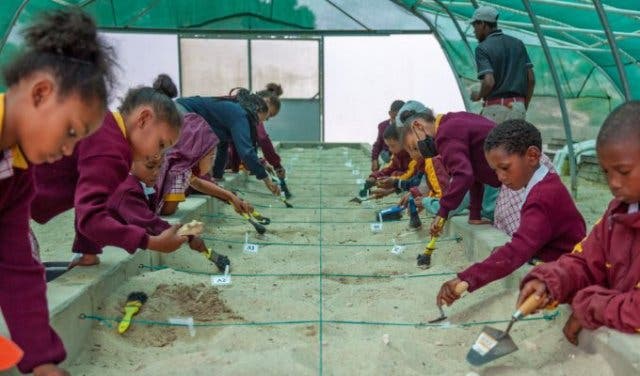 'Visit a real fossil dig site in the Western Cape - 2025'