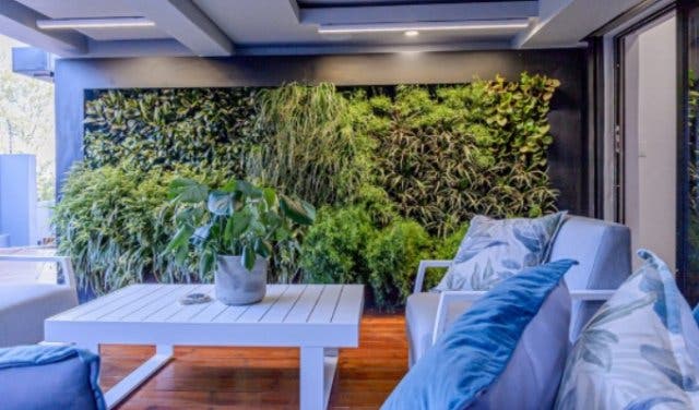 'Up-and-coming South African interior designer - 2025'