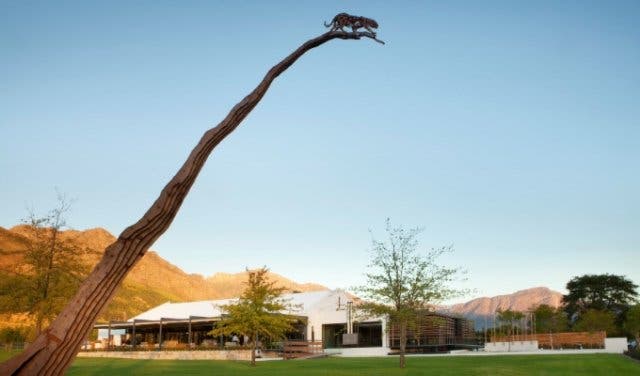 'Leopard’s Leap Family Vineyards is where family comes together - 2025'