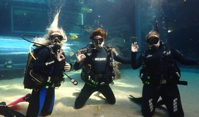 Two_Oceans_Aquarium_Dive_School