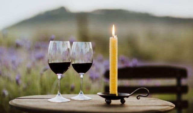 'Secret lavender and wine farm in Stellenbosch - 2025'