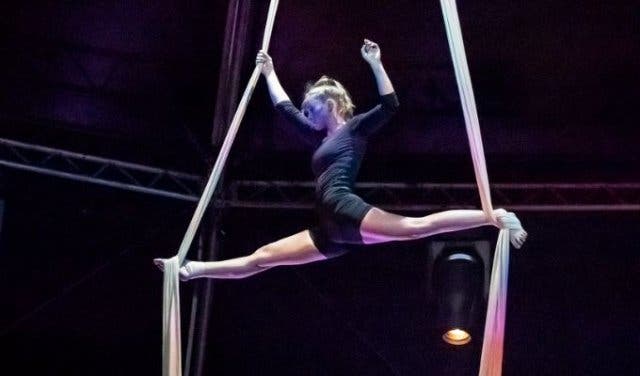 'What’s on at Zip Zap Circus - 2025'