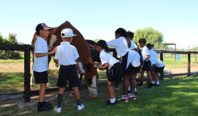 'Looking for Something Cool To Do With The Kids This Weekend? Check Out This Super-Special Stellenbosch Animal Farm - 2025'