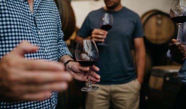 'SA's 90 Best Wines: 15% off Platter's 2019 Guide - 2025'