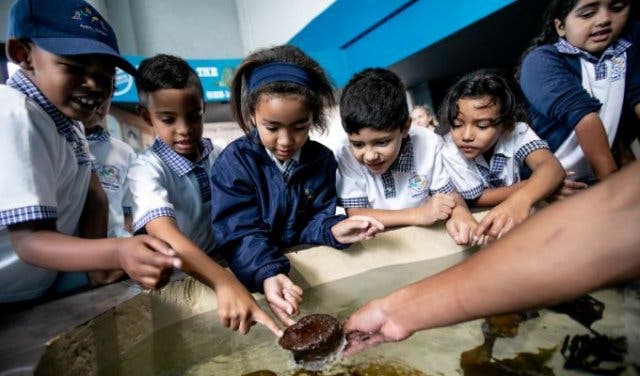 'The inside scoop on Two Oceans Aquarium - 2025'