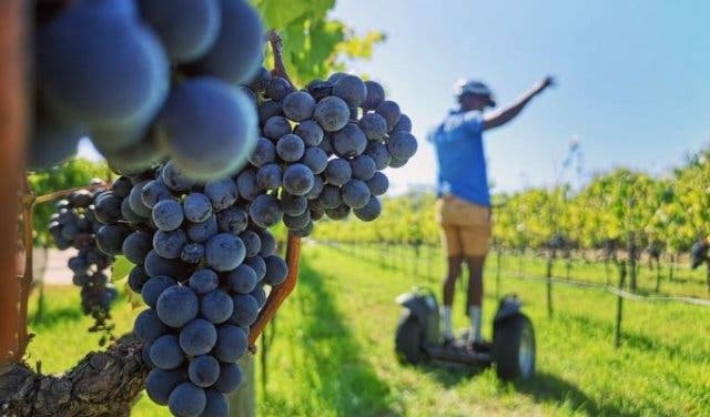 'The ultimate Cape Town bucket list - 2025'