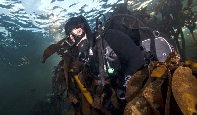 Two_Oceans_Aquarium_Dive_School