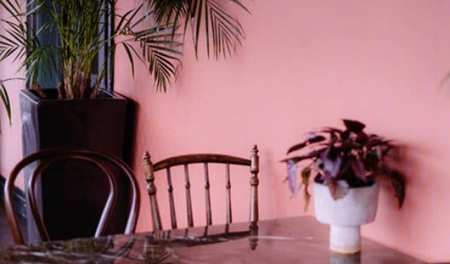 'Cafe by Day, French Bistro by Night, Hemingway Might Have Loved Moveable Feast - 2025'