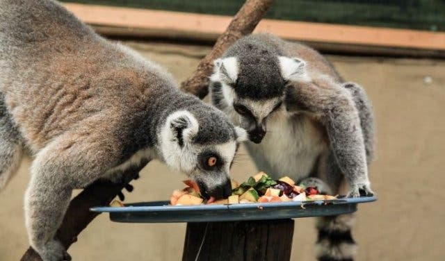 'The ultimate Cape Town bucket list - 2025'