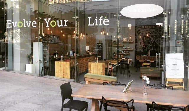 'Evolution Café Xperience - 2025'