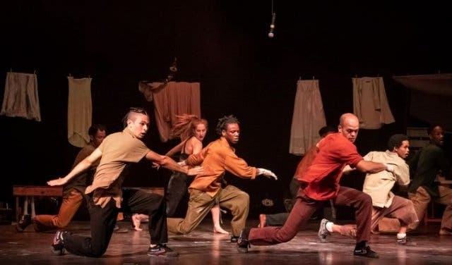 'What’s on at Zip Zap Circus - 2025'