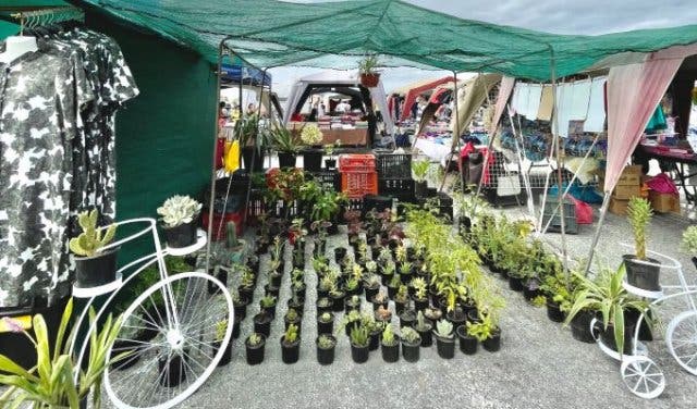 'Muizenberg’s Flea Market is a local favourite  - 2025'