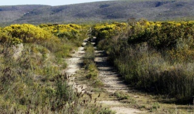 'Mountain bike through the wild terrain at De Hoop Nature Reserve - 2025'