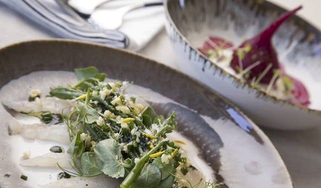 'Now Open: What Margot Janse and a Buff Chef are Cooking Up at This Healthy Restaurant - 2025'