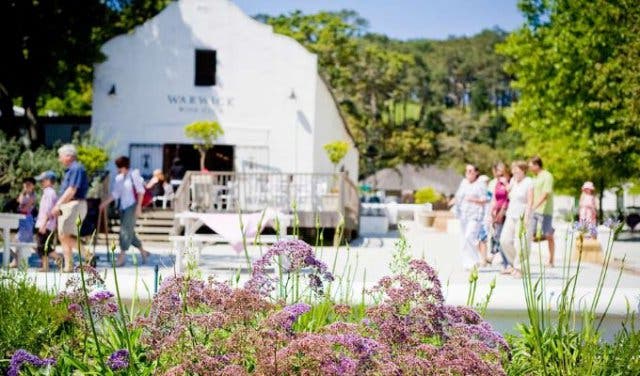 'SA's 90 Best Wines: 15% off Platter's 2019 Guide - 2025'