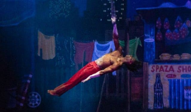 'What’s on at Zip Zap Circus - 2025'