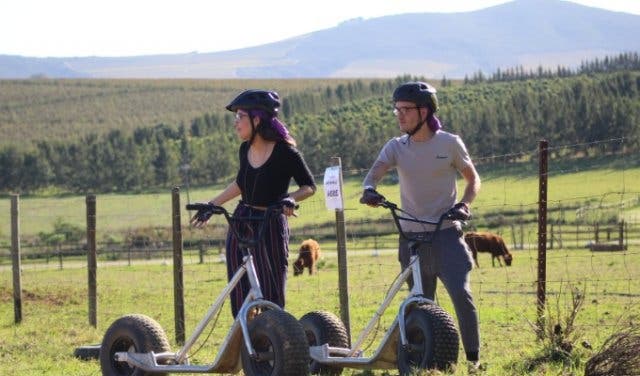 'Ride Monster wheels in the Winelands for your next team building - 2025'