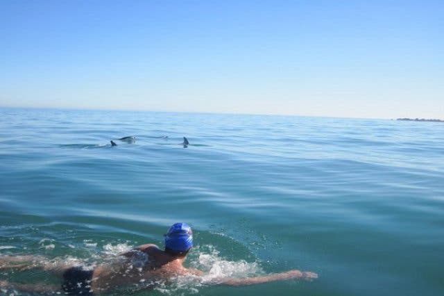 Robben Island Swim Robben Island Swim