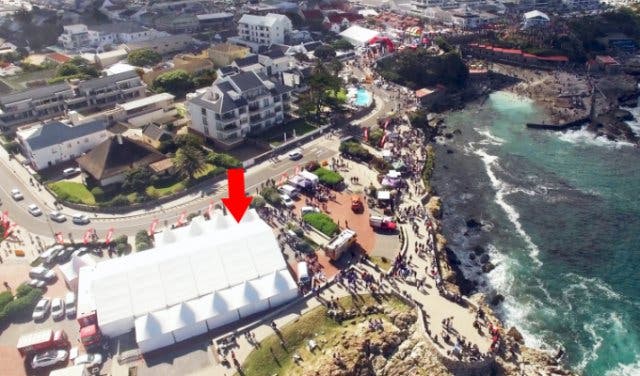 'The Hermanus Whale Festival - 2025'