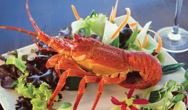 'All The Crayfish, Mussels And Oysters You Can Eat At The Paternoster Crayfish Festival - 2025'
