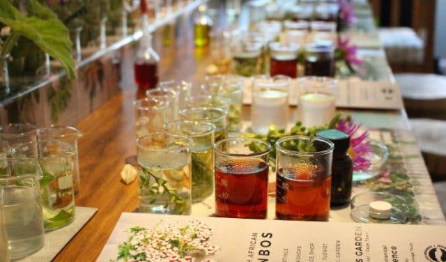 'Spring Flowers: Edible Flowers and Where You Can Taste Them - 2025'