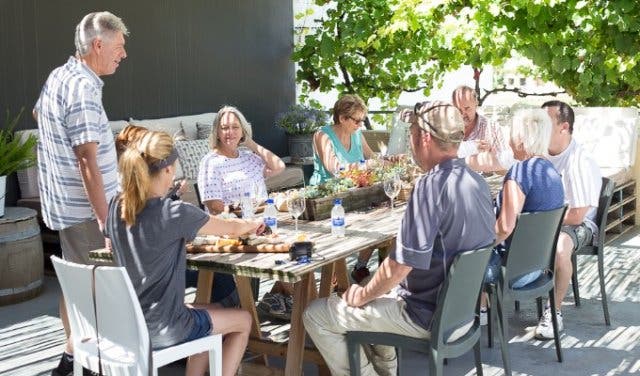 'A Leisurely Walk to The Oldest Pinotage Vineyard - 2025'