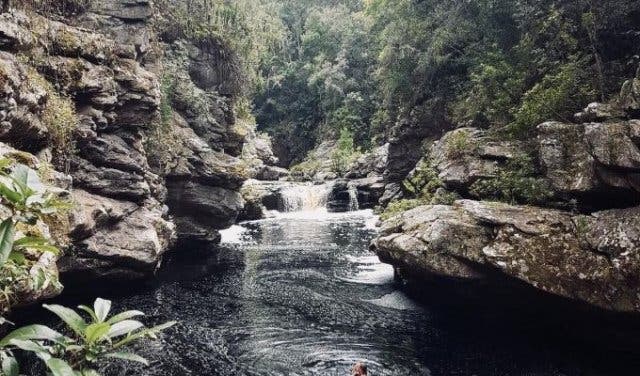 'See How Much Wildlife You Can Spot While Swimming in These Rock Pools and Waterfalls - 2025'