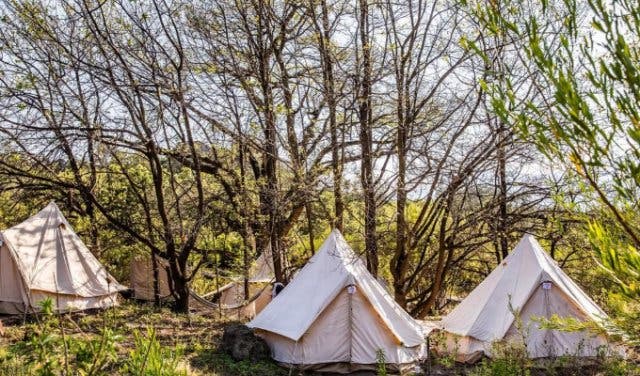 'This is what makes Cederkloof Retreat so magical - 2025'