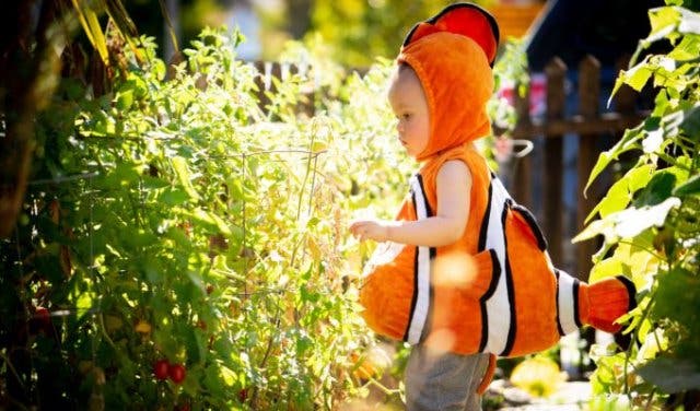 'A Market With Healthy Food Kids Won’t Frown About - 2025'