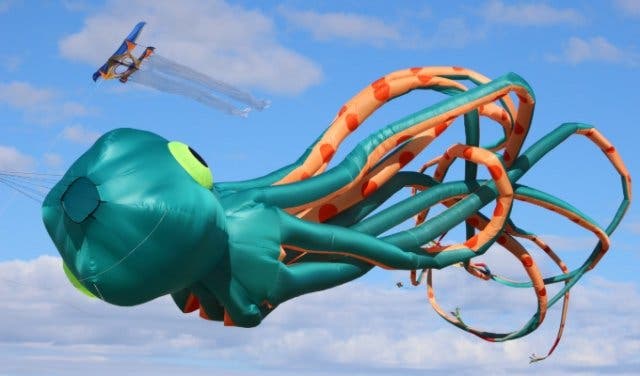 'The sky’s the limit at this annual kite fest supporting mental health - 2025'