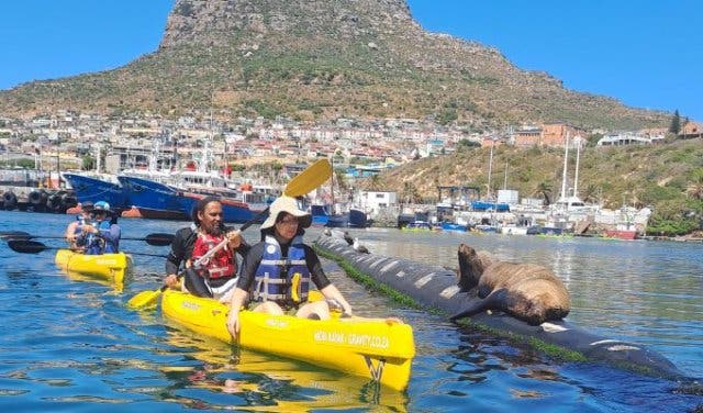 'Things to do for the visually impaired in Cape Town - 2025'