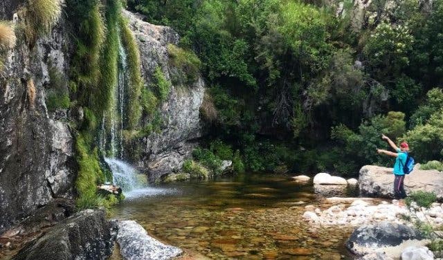 'See How Much Wildlife You Can Spot While Swimming in These Rock Pools and Waterfalls - 2025'