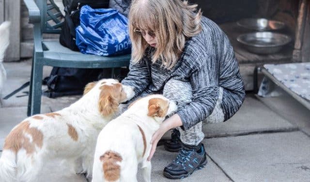 'The TEARS Sleepathon lets you cuddle rescue animals for a cause  - 2025'
