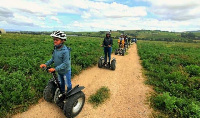 'The most unique and unusual way to tour vineyards - 2025'
