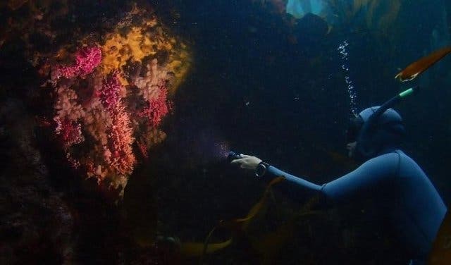 'The ultimate Cape Town bucket list - 2025'