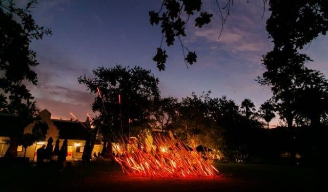 'Spier Light Art Exhibition: it’s magical, has a light robot, it’s free  - 2025'