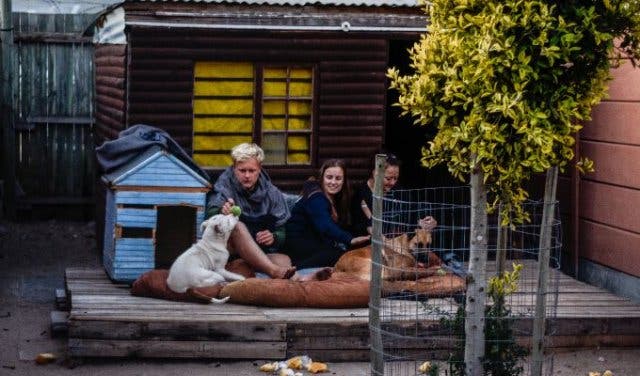 'The TEARS Sleepathon lets you cuddle rescue animals for a cause  - 2025'