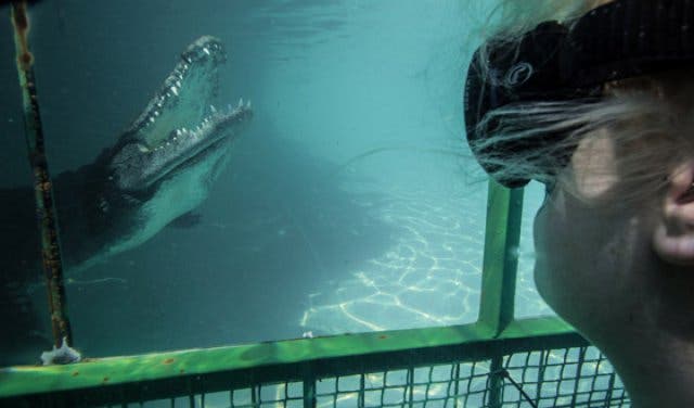 'New Name, Same Croc-Filled Fun and Adventure for the Whole Family - 2025'