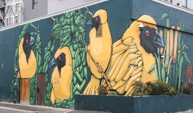 'The ultimate Cape Town bucket list - 2025'