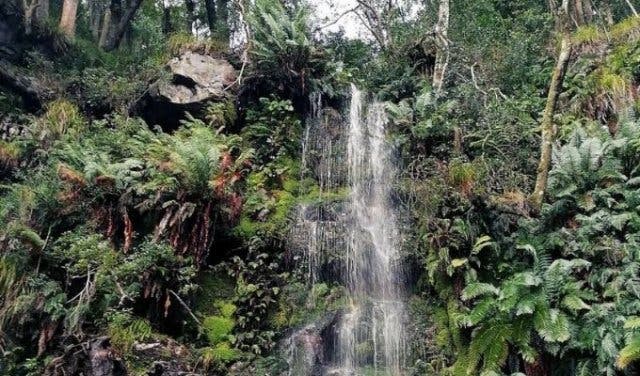 'A guide to hiking Cecilia Waterfall - 2025'