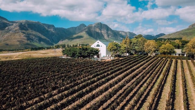 'SA's 90 Best Wines: 15% off Platter's 2019 Guide - 2025'