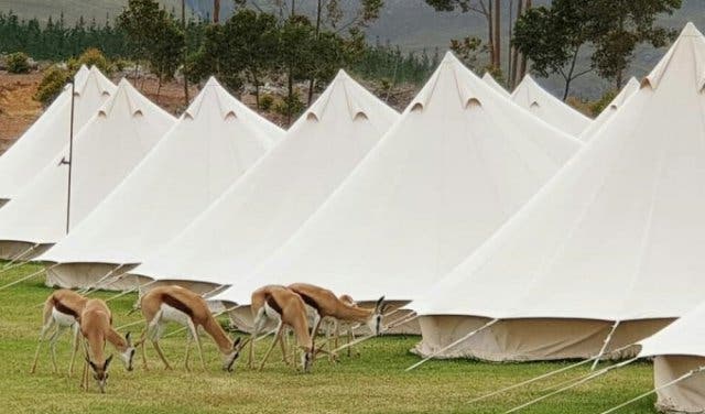 'This is What She's Hoping for When You Say, Let’s Go Camping - 2025'