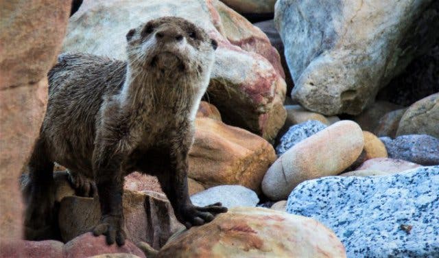 'New Experiences: Unique Day Tours For Exploring The Cape - 2025'