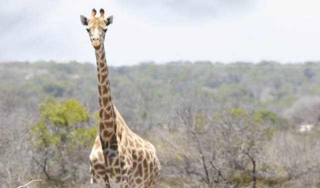 'End-of-year party ideas to pitch to your boss - 2025'