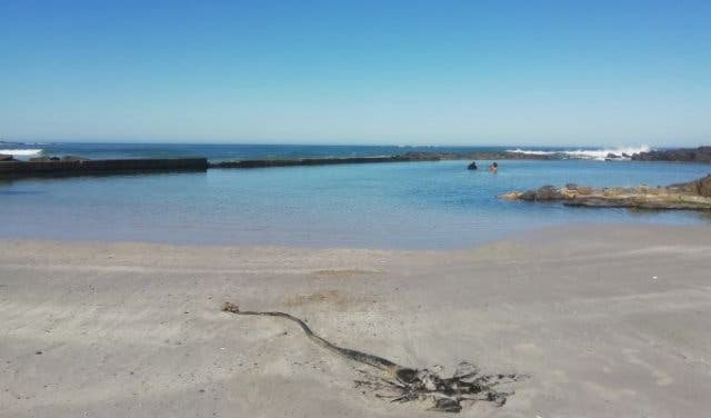 'A Diverse Guide To Cape Town’s Braai Spots - 2025'